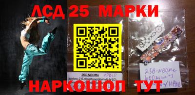 спиды Новозыбков