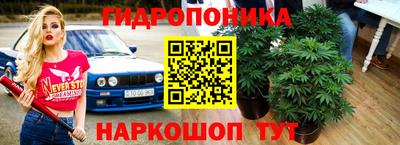 МДМА Новодвинск